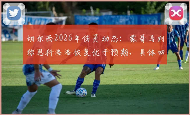 切尔西2026年伤员动态:蒙哥马利称恩科洛洛恢复优于预期,具体回归日期仍待定
