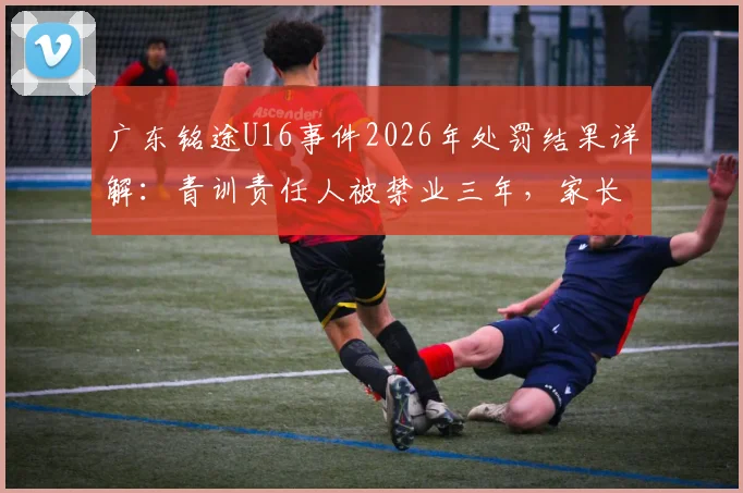 广东铭途U16事件2026年处罚结果详解:青训责任人被禁业三年,家长如何避坑及举报指南